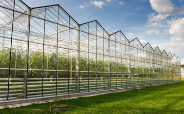 因为一场综艺备受关注，智慧大棚到底有多神奇